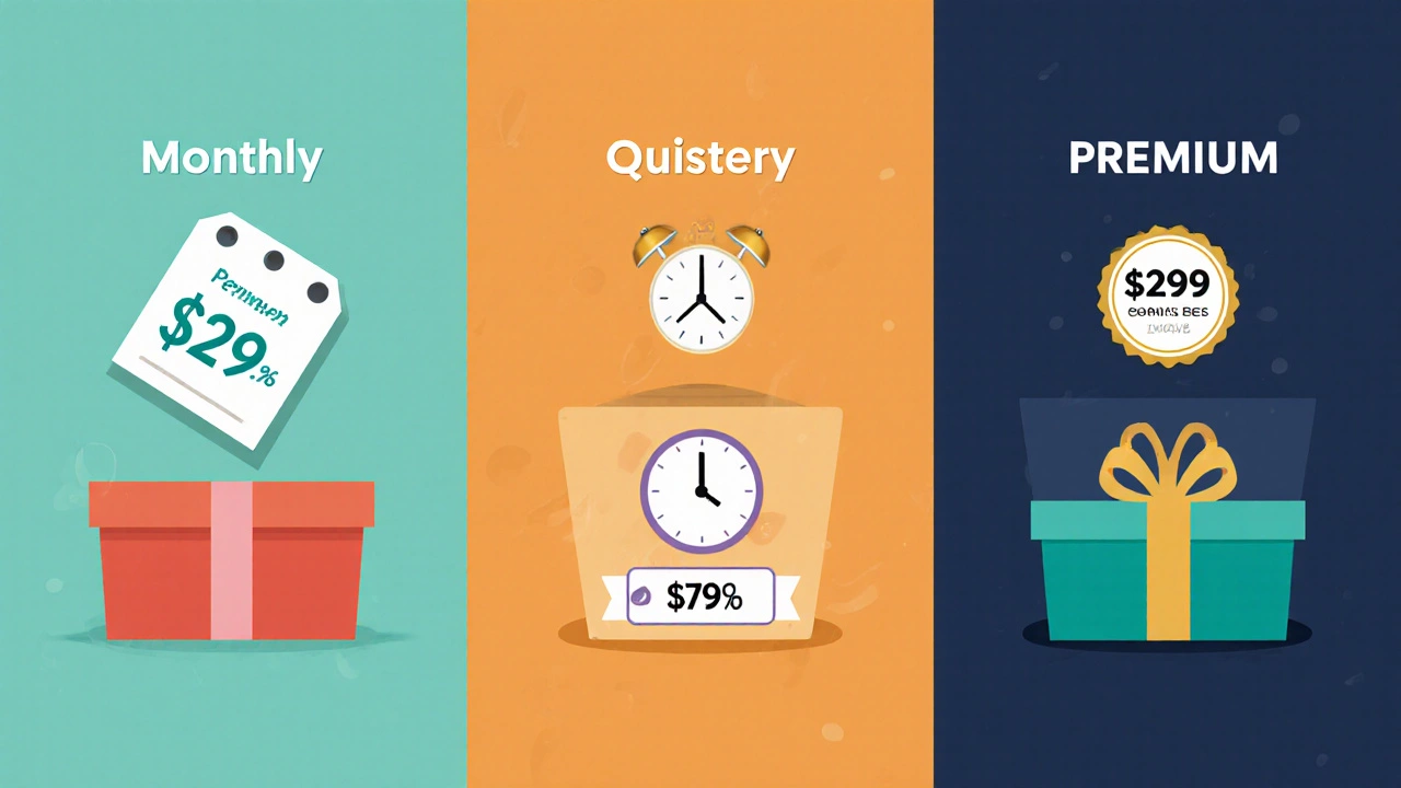 Three stylized boxes representing monthly, quarterly, and annual BoxyCharm plans with price cues.